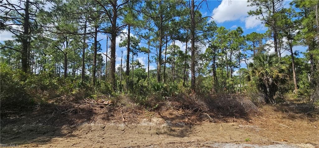 1123 Lincoln AVE LEHIGH ACRES, FL 33972