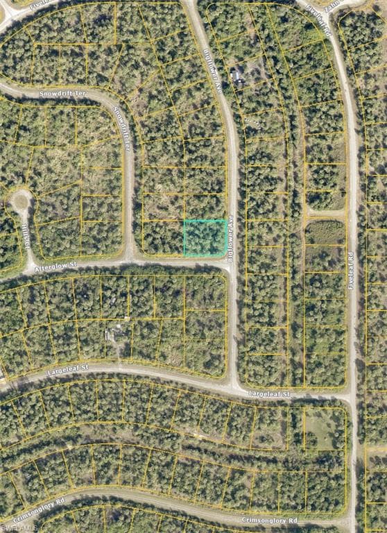 Lot 12 Bigflower AVE NORTH PORT, FL 34288