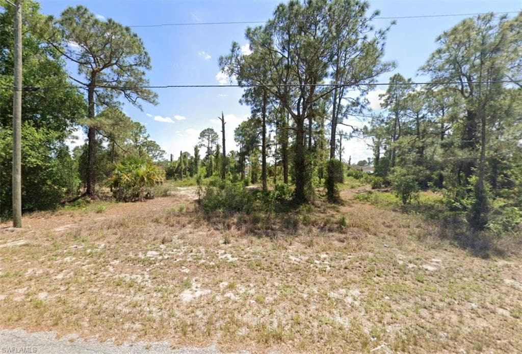 852 Carpenter ST E LEHIGH ACRES, FL 33974