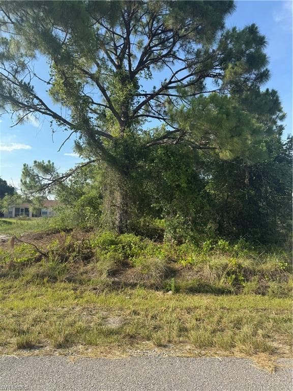 2508 53rd ST SW LEHIGH ACRES, FL 33976