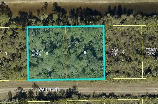 1239 Rake ST E LEHIGH ACRES, FL 33974