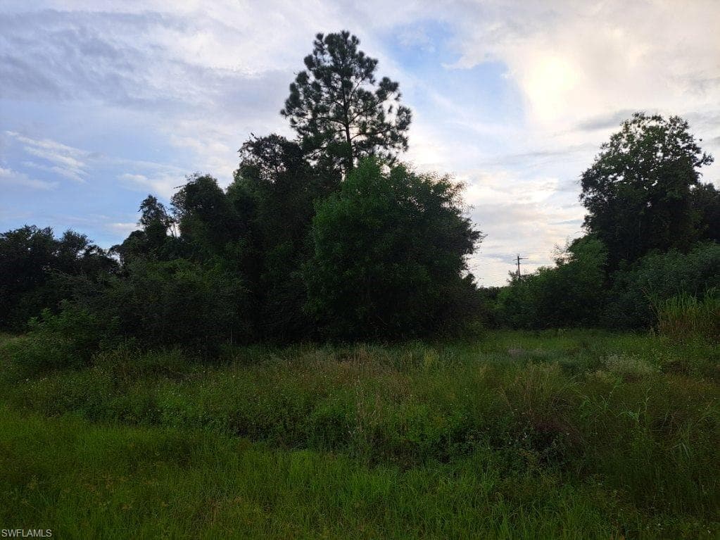 145 Pine LN LEHIGH ACRES, FL 33973