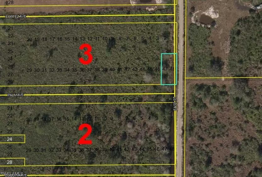 LOTS 47 + 48 Palm AVE LABELLE, FL 33935