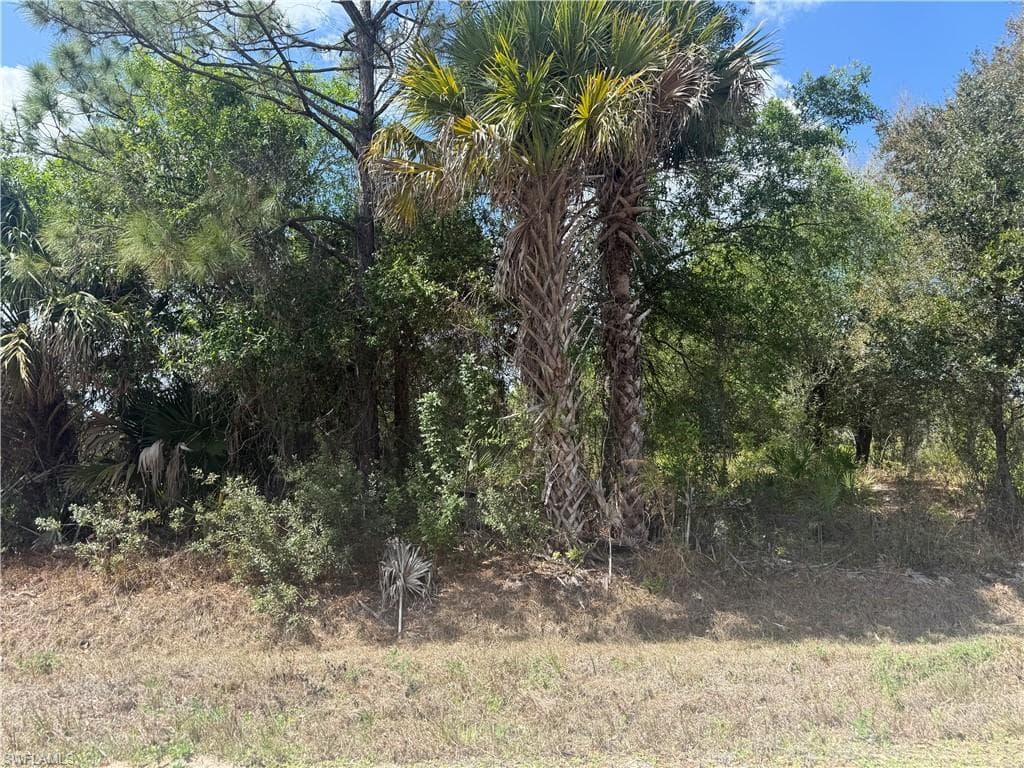 5905 Sally AVE N LEHIGH ACRES, FL 33971