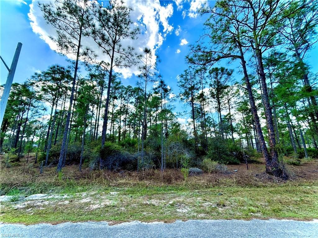 2311 Jackson AVE ALVA, FL 33920