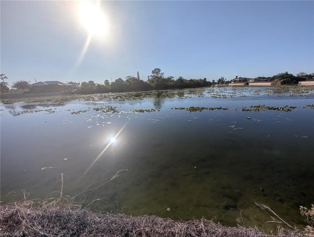 2010 NE 23rd PL CAPE CORAL, FL 33909