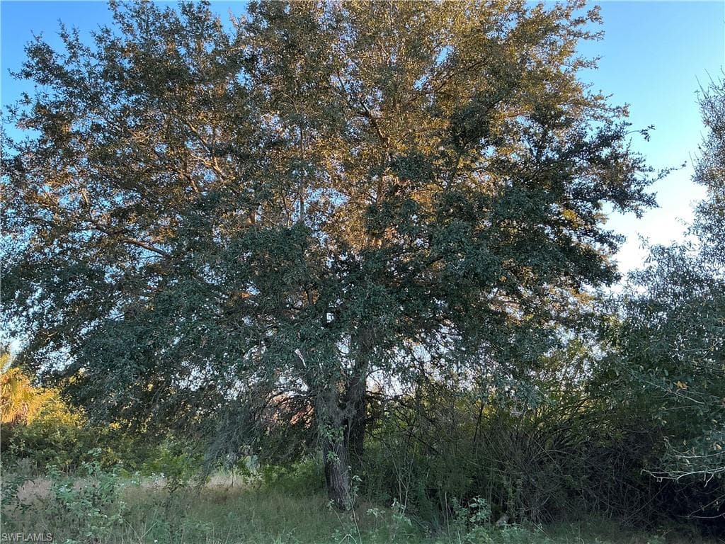 5801 4th RD LABELLE, FL 33935