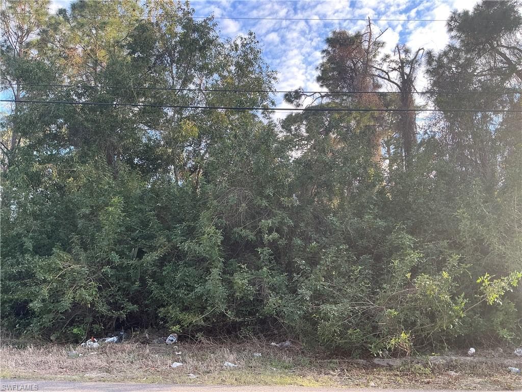 3811 4th ST W LEHIGH ACRES, FL 33971
