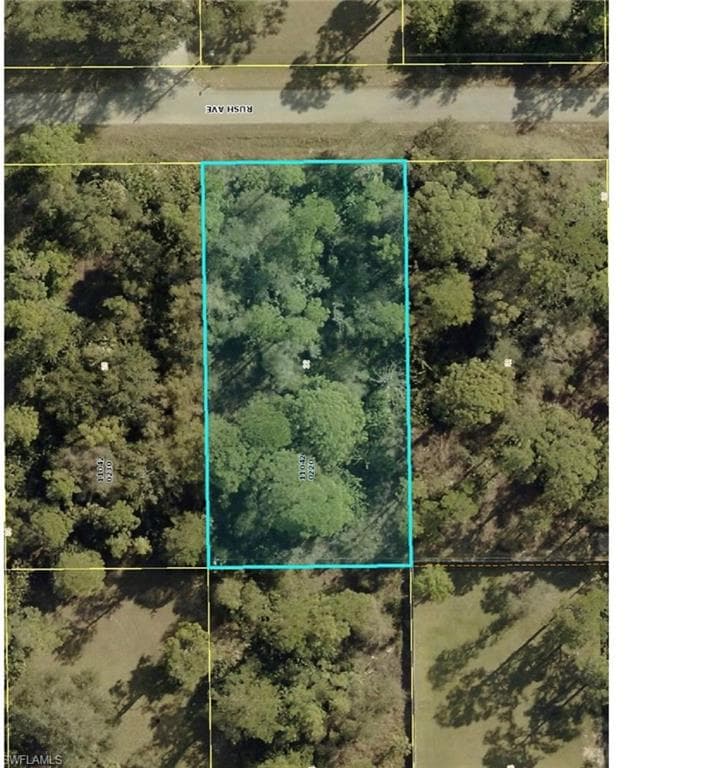 1117 Rush AVE LEHIGH ACRES, FL 33972