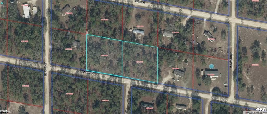 9771-006-00 & 9771-007-00 NE 4th ST WILLISTON, FL 32696