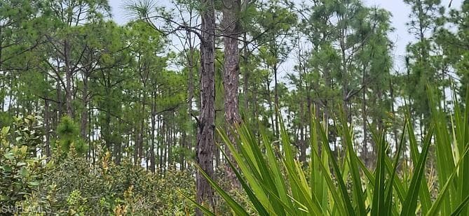 27278 Green Gulf BLVD PUNTA GORDA, FL 33955