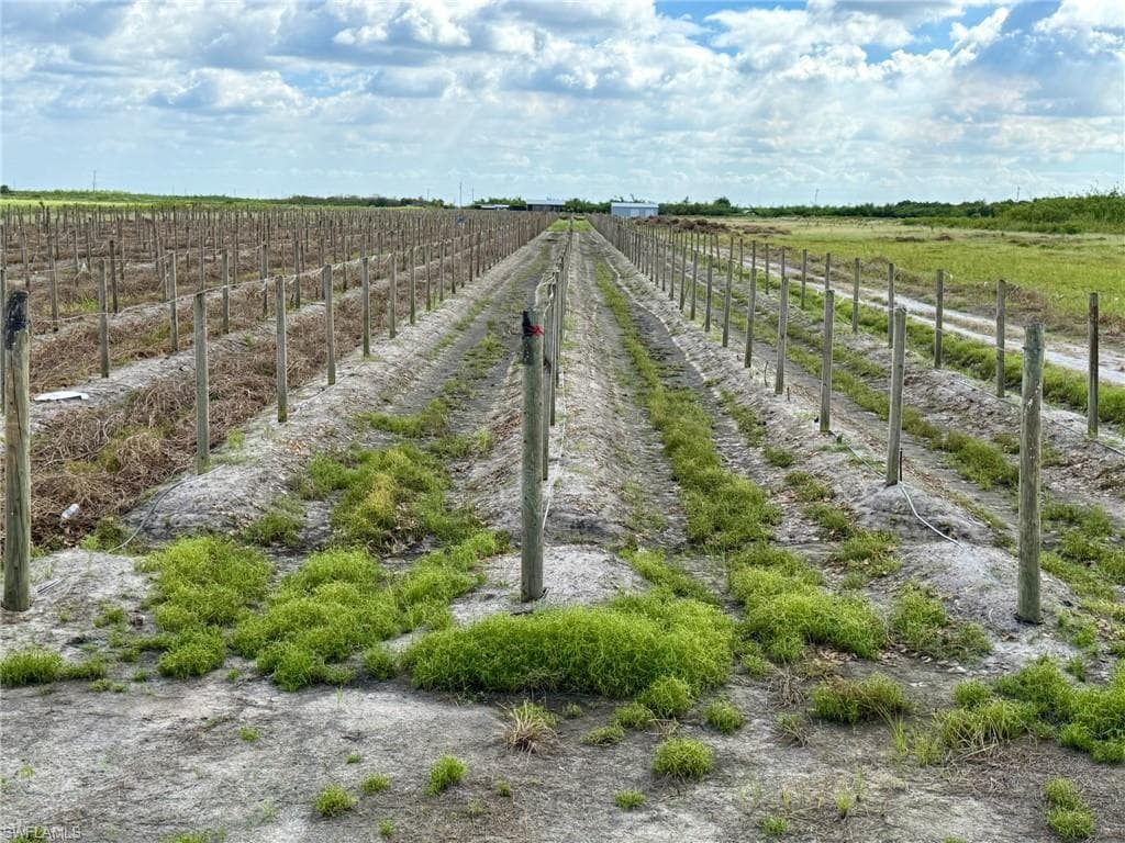 5567 5th RD LABELLE, FL 33935