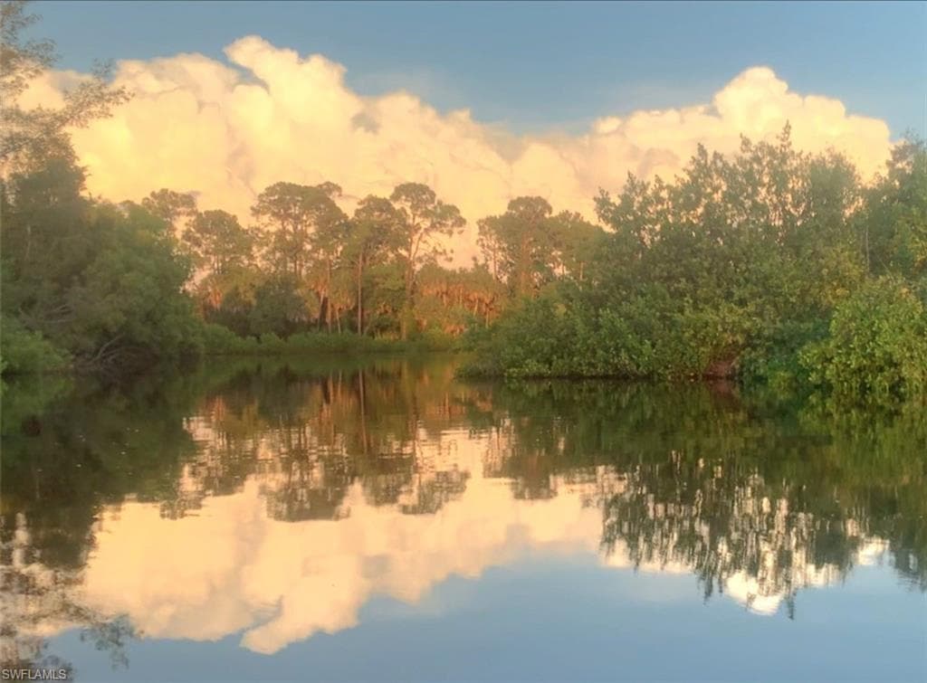 4021 Full Moon CT NAPLES, FL 34112