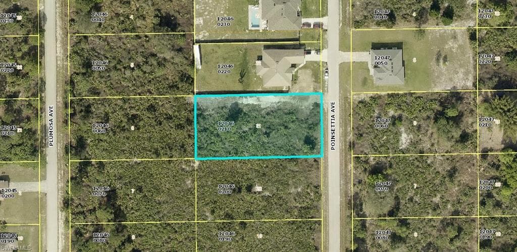 1115 Poinsettia AVE LEHIGH ACRES, FL 33972