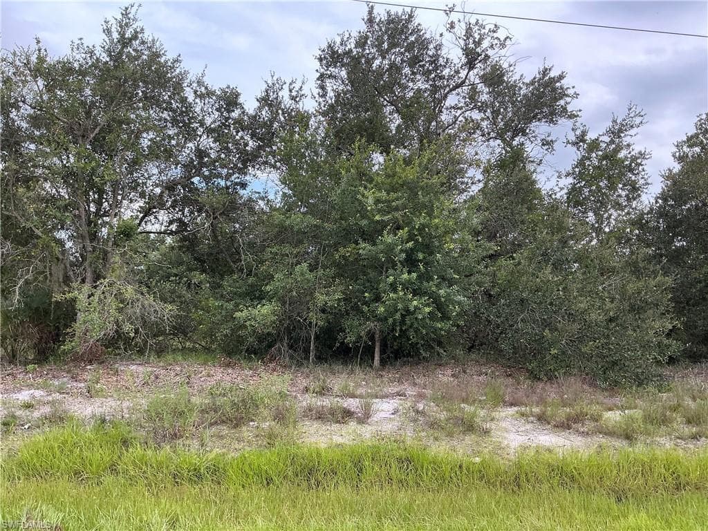 3102 51st ST W LEHIGH ACRES, FL 33971