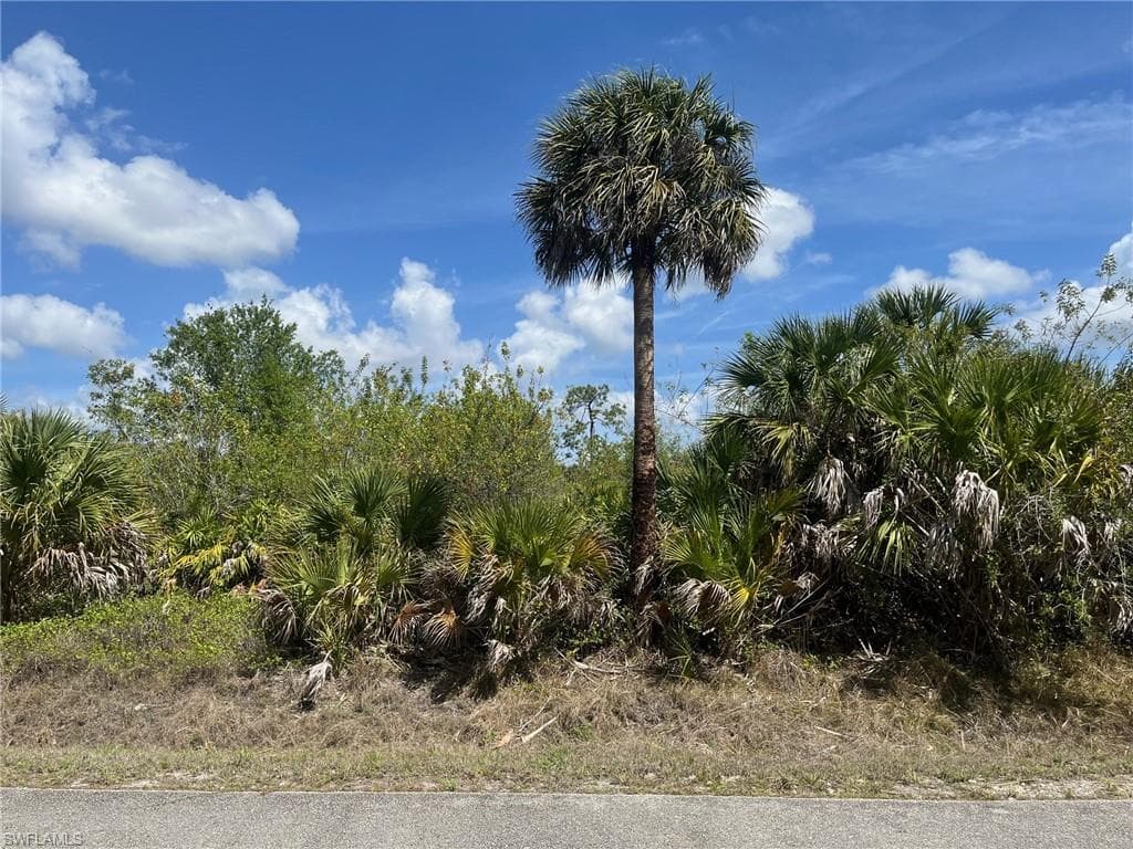 12th AVE NE NAPLES, FL 34120