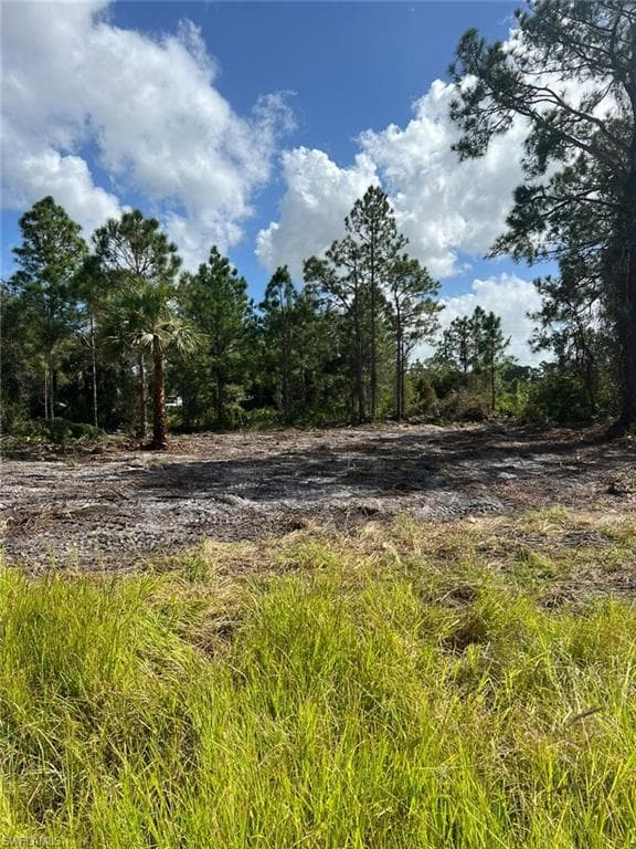 411 Lovers AVE LEHIGH ACRES, FL 33974