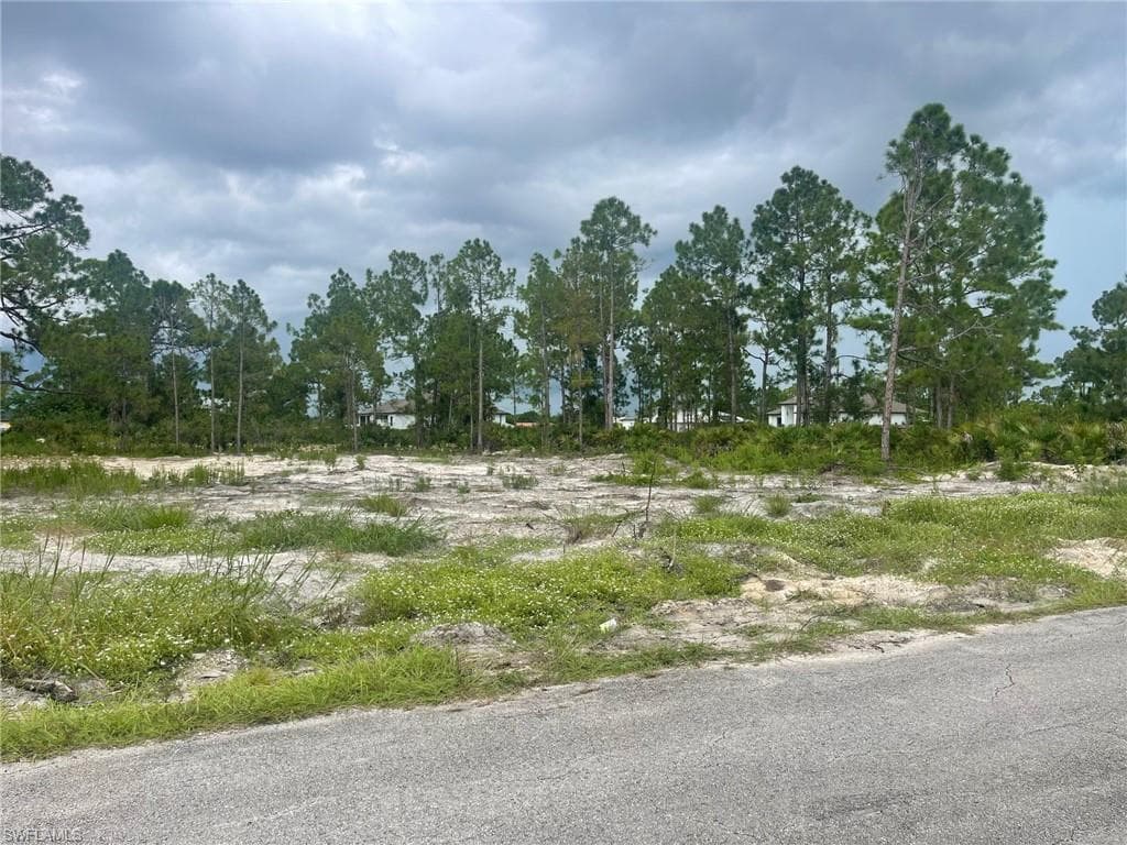 1302 Prospect AVE LEHIGH ACRES, FL 33972
