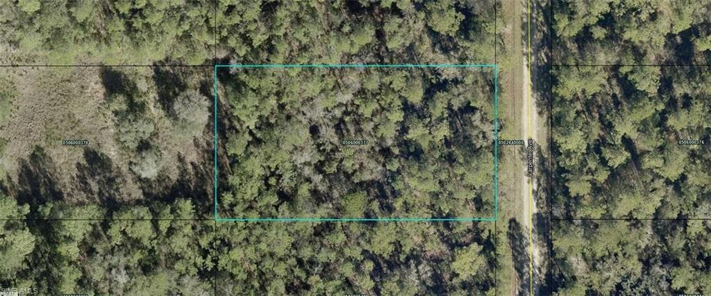10065 Carpenter AVE HASTINGS, FL 32145