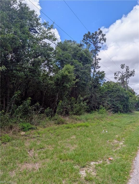2805 53rd ST SW LEHIGH ACRES, FL 33976