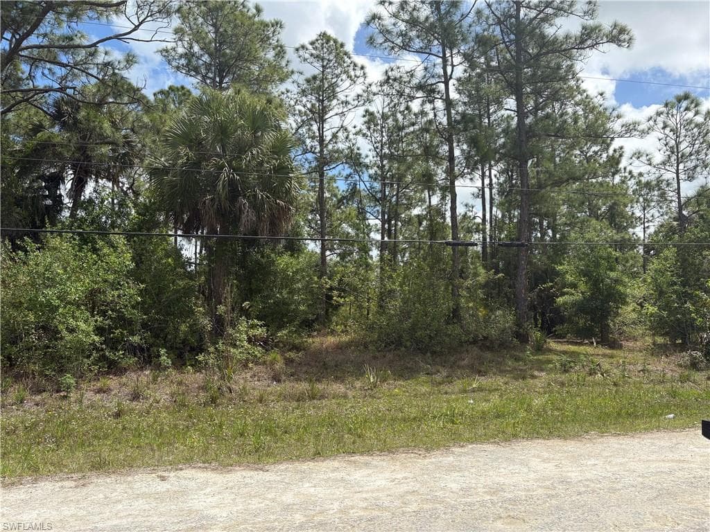 241 Thornton AVE S LEHIGH ACRES, FL 33974