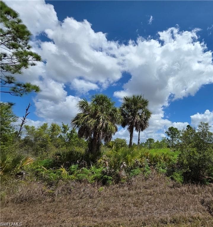 12296 Chamberlain BLVD PORT CHARLOTTE, FL 33953
