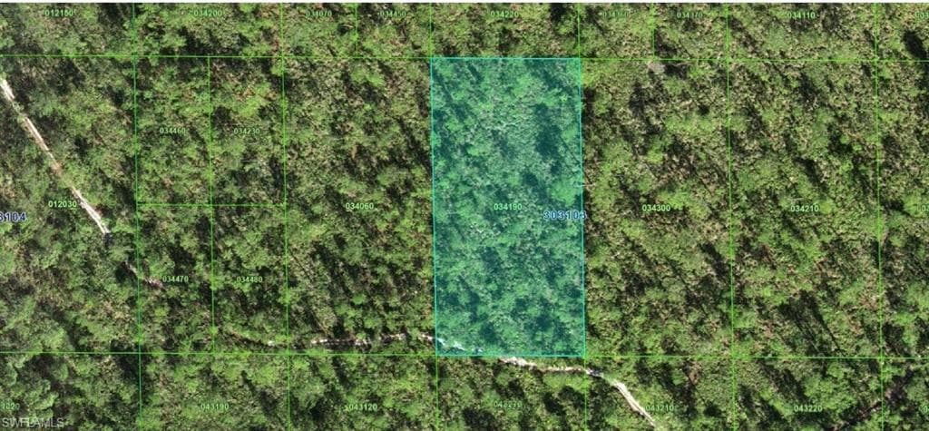 30-31-03-000000-034190 INAACCESIBLE TRACK LAKE WALES, FL 33898