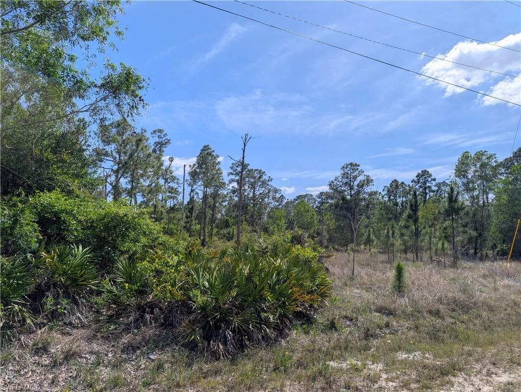 1042 Manning ST LEHIGH ACRES, FL 33974
