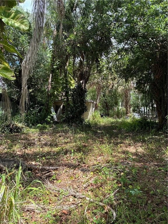 315 Buena Vista BLVD FORT MYERS, FL 33905