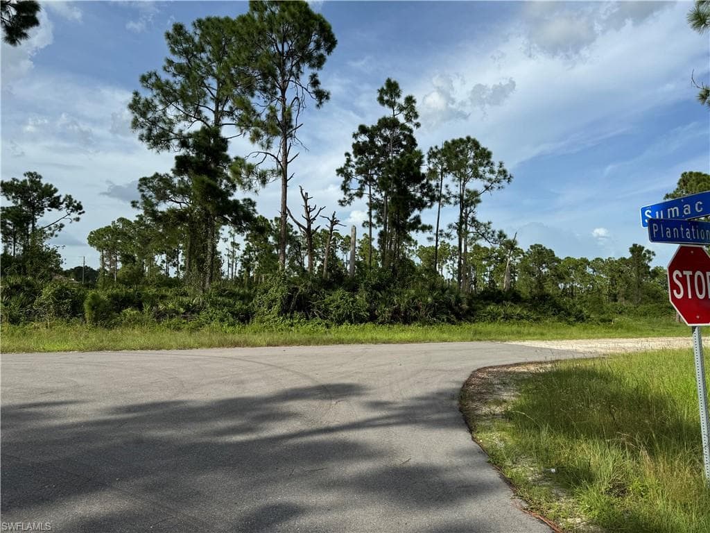 1123 Plantation RD LEHIGH ACRES, FL 33974