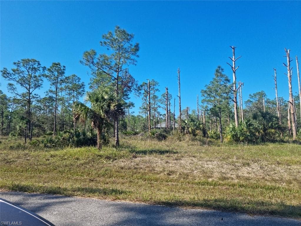 2309 Wellington AVE ALVA, FL 33920