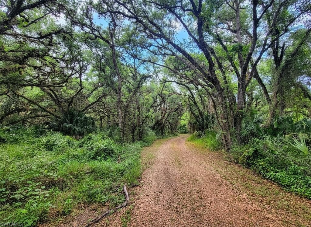 1040 Kirby Thompson RD LABELLE, FL 33935