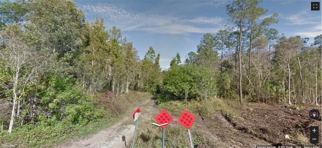 Amarillo ST BONITA SPRINGS, FL 34135