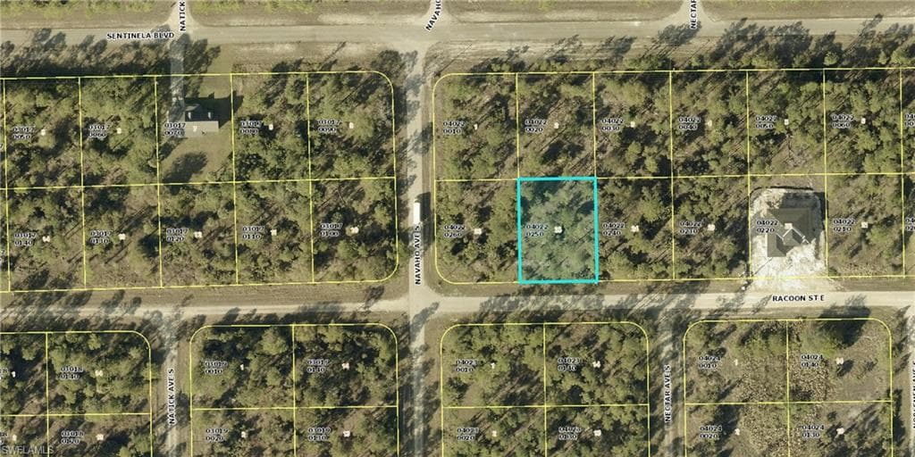 1225 Racoon ST E LEHIGH ACRES, FL 33974