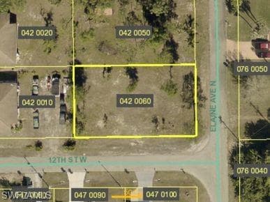 1201 Elaine AVE N LEHIGH ACRES, FL 33971