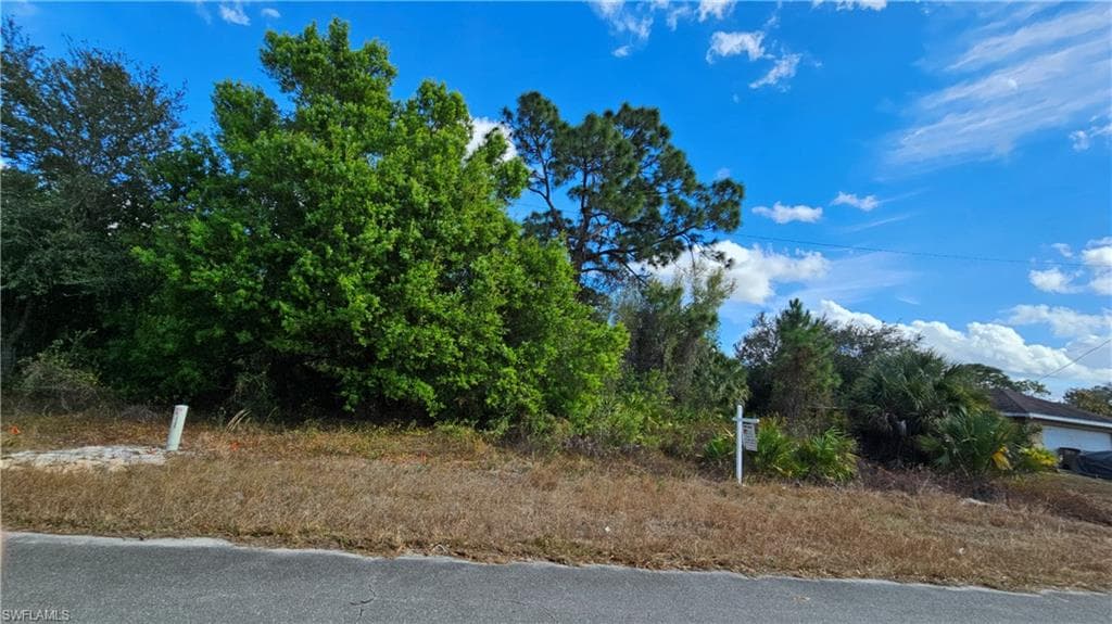 217 Narcissus AVE S LEHIGH ACRES, FL 33974