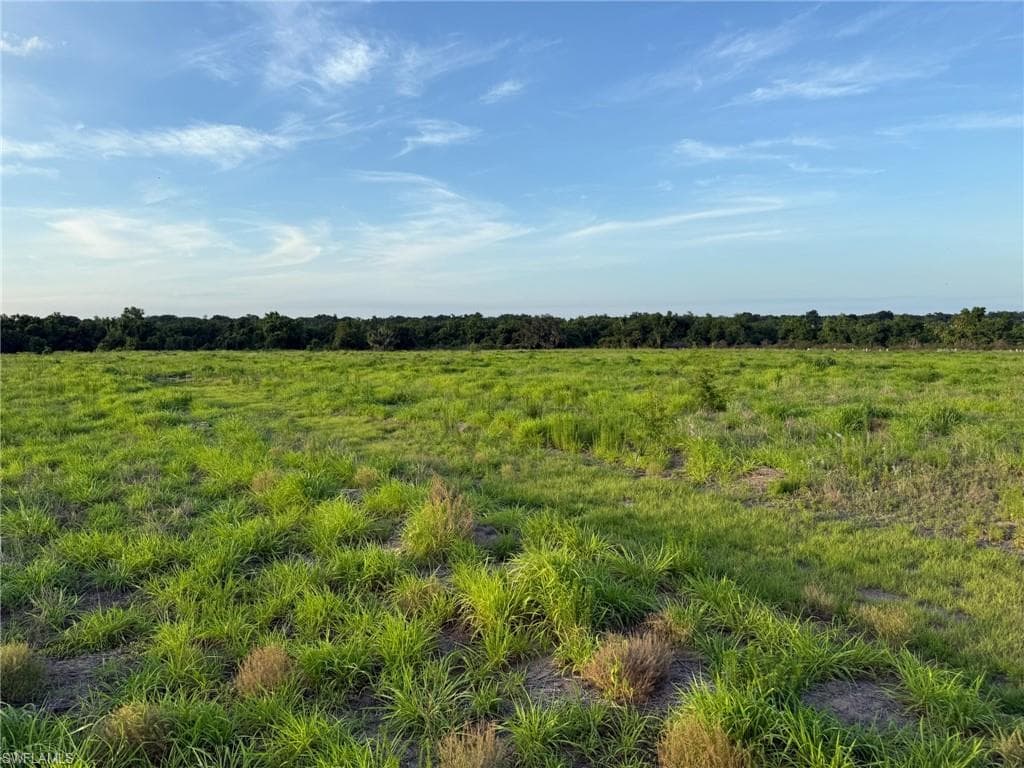 1445 S Florida AVE WAUCHULA, FL 33873