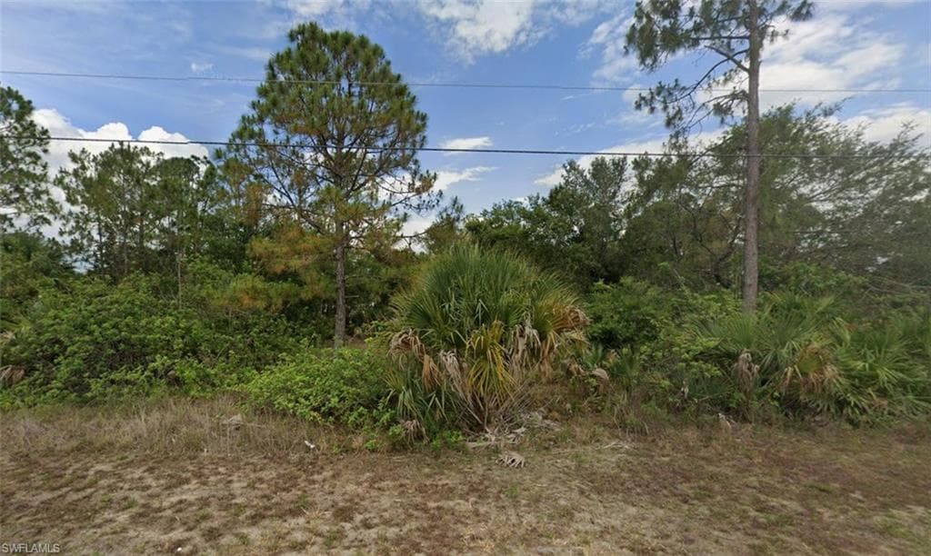 2412 Carlton AVE N LEHIGH ACRES, FL 33971