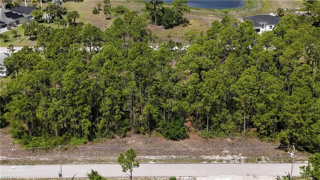 496 Lillon AVE S LEHIGH ACRES, FL 33974