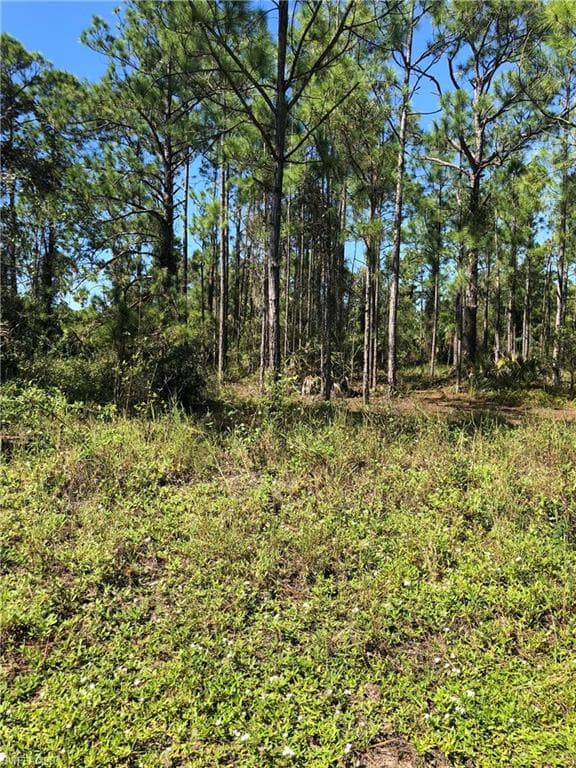 640 Naples AVE S LEHIGH ACRES, FL 33974