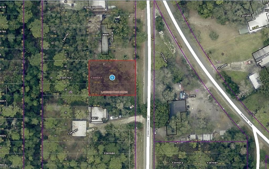 15-17-28-0100-021-00900 Pennsylvania ST PAISLEY, FL 32767