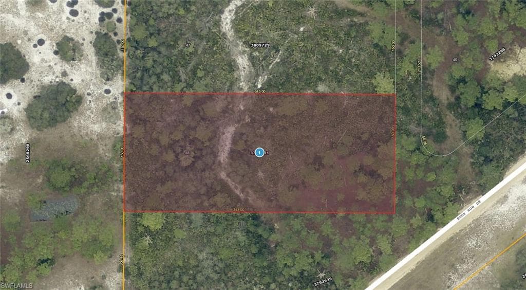 28-17-28-0004-000-03100 Buck Run DR PAISLEY, FL 32767