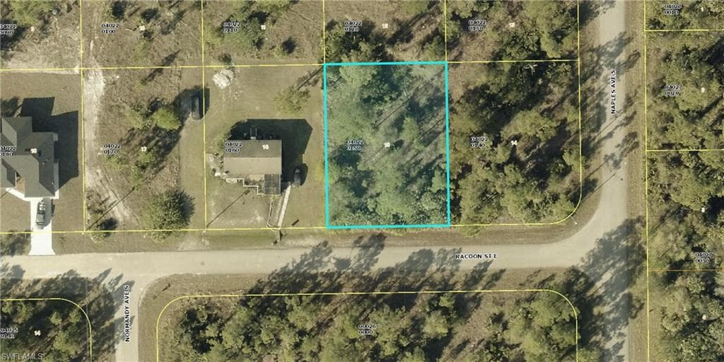 1245 Racoon ST E LEHIGH ACRES, FL 33974