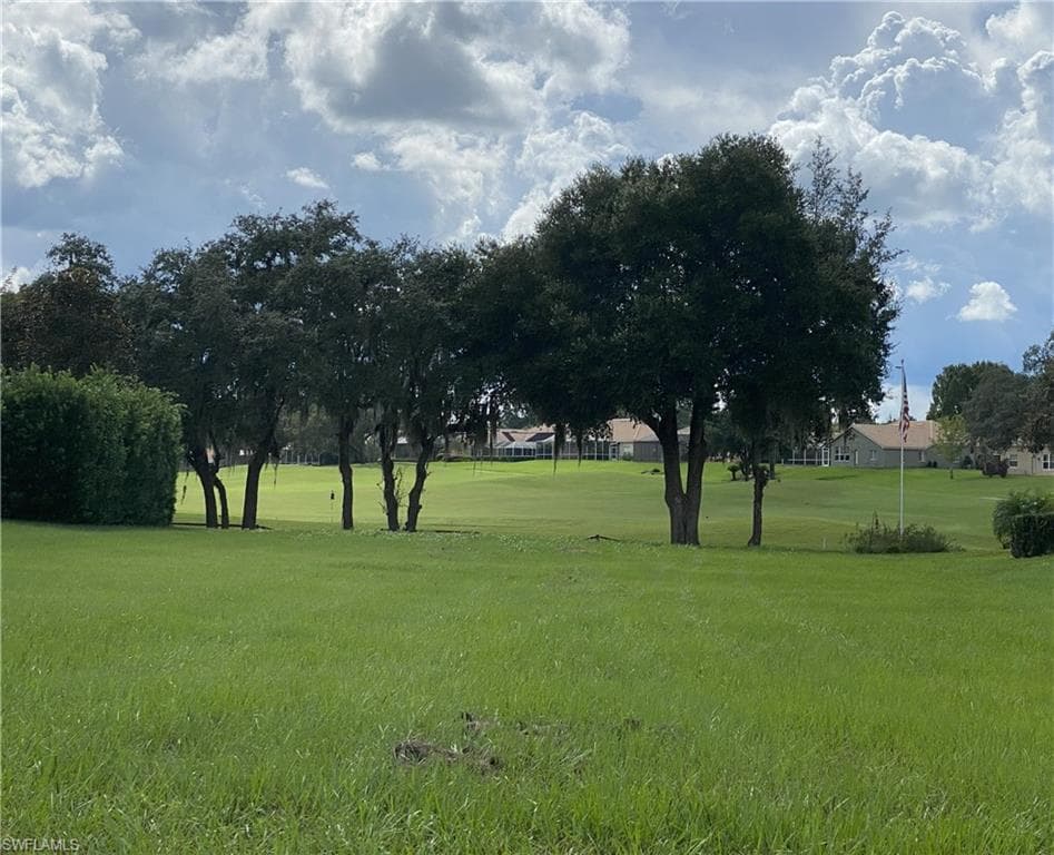 13423 Trailing Moss DR DADE CITY, FL 33525