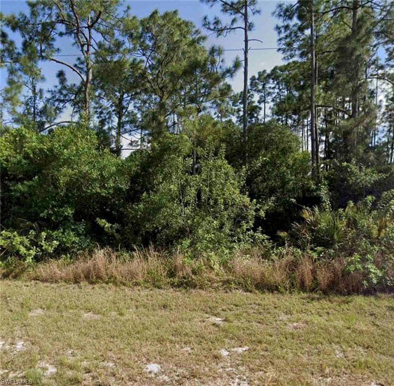 866 Porter ST E LEHIGH ACRES, FL 33974