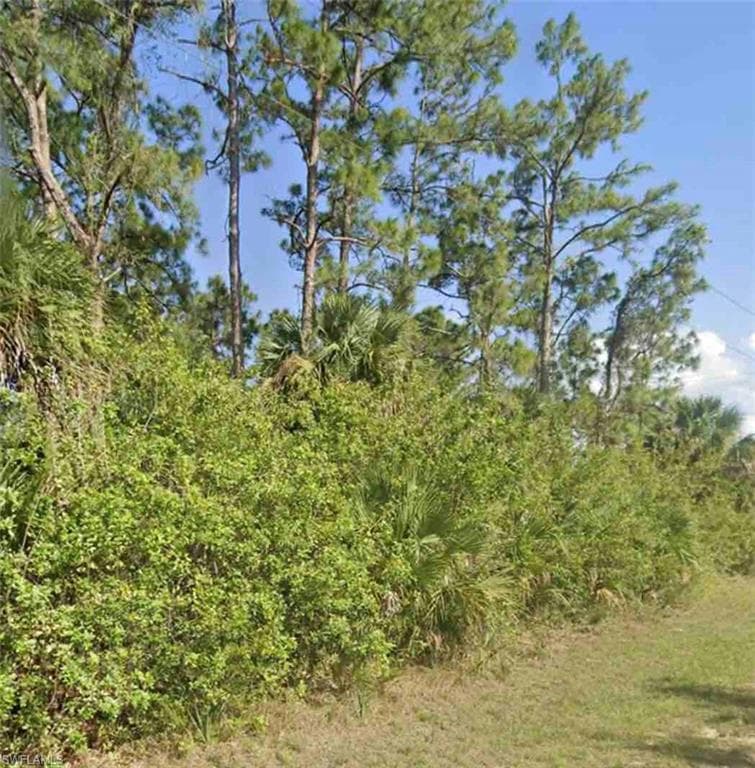 125 Thornton AVE S LEHIGH ACRES, FL 33974