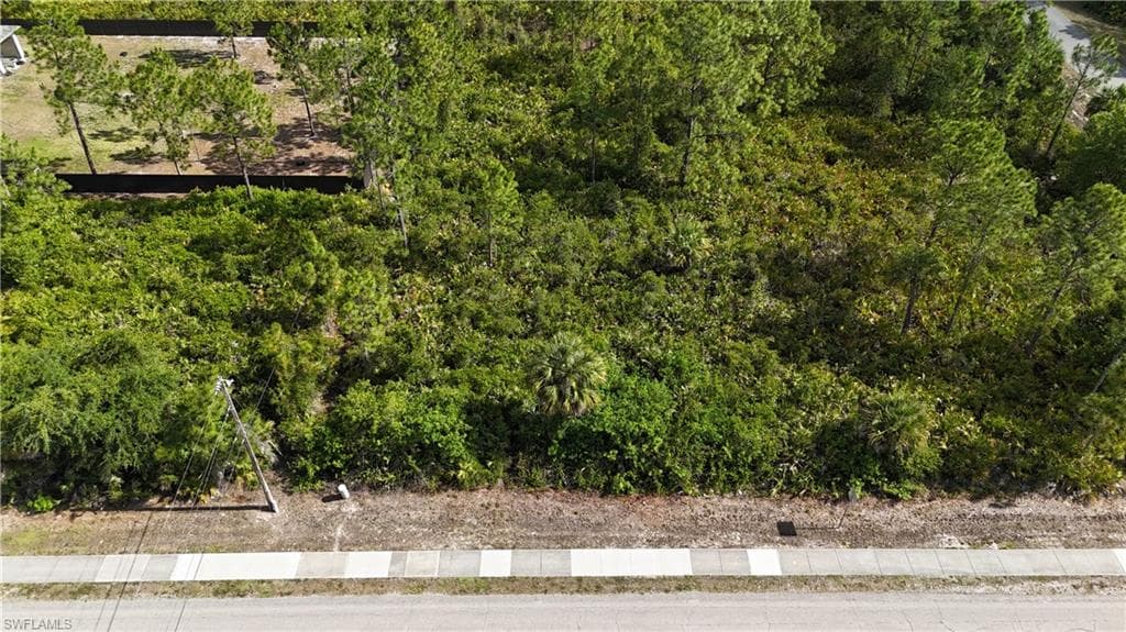1205 E 6th ST LEHIGH ACRES, FL 33972