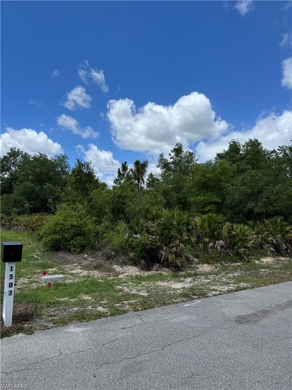 1505 Euclid AVE LEHIGH ACRES, FL 33972