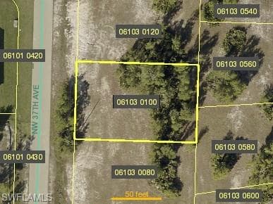 4523 NW 37th AVE CAPE CORAL, FL 33993
