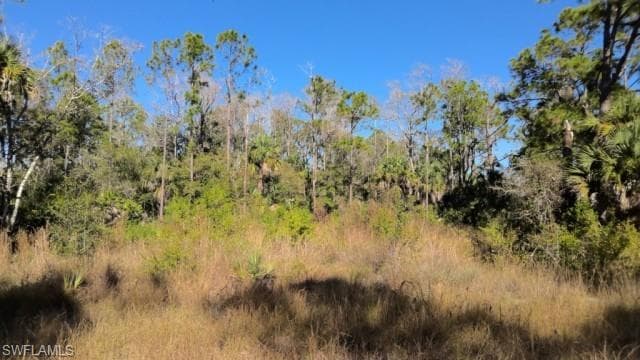 412 Lakeridge BLVD LEHIGH ACRES, FL 33972